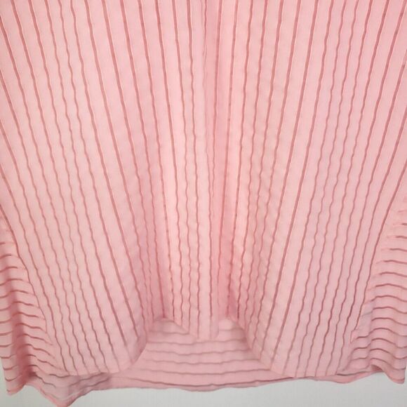 J Crew Top Womens 12 Sheer Stripes Popover Pink Zip Back Boxy Short Sleeve - Picture 3 of 10